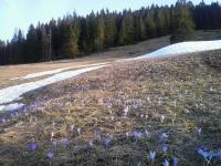 Príroda v okolí apartmánu