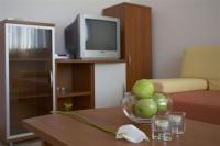 Televízia a/alebo spoločenská miestnosť v ubytovaní Apartment Liznjan 1