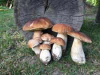 Plán poschodí v ubytovaní Agroturystyka Pod Modrzewiem - Babia Góra