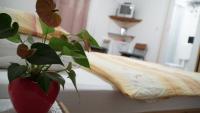 Posteľ alebo postele v izbe v ubytovaní Apartments Nera