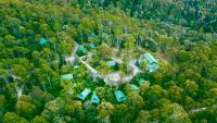 una vista aérea de una casa en medio de un bosque en Lemonthyme Wilderness Retreat, en Moina