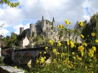 a castle on top of a hill with yellow flowers at Le Relais du Lyon d&#39;Or in Angles-sur-lʼAnglin