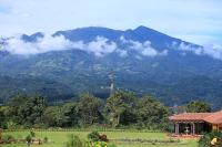 Příroda nedaleko hotelu