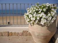 A general sea view or a sea view taken from the holiday home