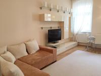 TV a/nebo společenská místnost v ubytování Apartment DR. Becher LUX 60 M2