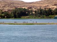 Půdorys ubytování M/Y Alexander The Great Nile Cruise - 4 Nights Every Monday From Luxor - 3 Nights Every Friday from Aswan