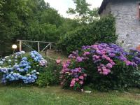 A garden outside Relax totale nel Bosco Lucca