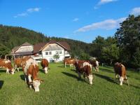 Zwierzęta w gospodarstwie agroturystycznym lub w pobliżu