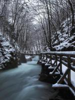 Príroda v okolí hotela