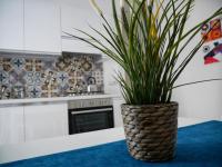 Kuchyňa alebo kuchynka v ubytovaní Denza Apartments