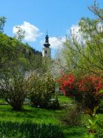 A garden outside Hotel Restaurant zum Schwan