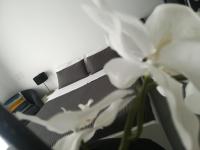 A seating area at B&B Roda Barocco