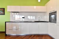 Kuchyň nebo kuchyňský kout v ubytování City penthouse Vita