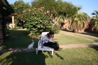 A garden outside Verdemare Sardegna Due Villette