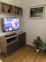Televízia a/alebo spoločenská miestnosť v ubytovaní Apartments N10 Zagreb