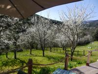 a view of a field with trees with white flowers at Le Chalet in Prémian