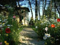 Ogród w obiekcie Villa La Fontana