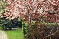 Vonkajšia záhrada v ubytovaní Ilka Garden
