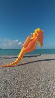 a kite shaped like a dragon on a beach at TOPFLOOR Les Terrasses in Dieppe