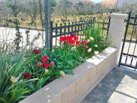 Vonkajšia záhrada v ubytovaní Apartments Sunny Side Orebić