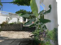 Vonkajšia záhrada v ubytovaní Villa Quietude