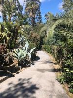 a path through a garden with palm trees and plants at Magnifique Appartement Vue Mer in Vallauris