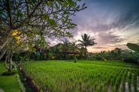 Bliss Ubud Spa Resort thumbnail 6