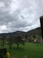 Un campo verde con árboles y montañas al fondo. en Petit week end dans la vallée, en Breitenbach-Haut-Rhin