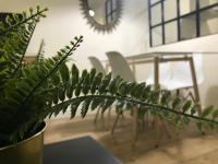 Půdorys ubytování Loft Nature en Bernabé Soriano