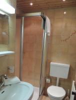 a bathroom with a shower and a toilet and a sink at Pension Rosenhof in Brixen im Thale