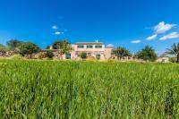 Zahrada ubytování Finca Agroturismo Sa Cova den Borino