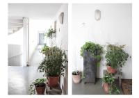 two pictures of plants in pots on a wall at Apartment with terrace 5 people Bastille by Weekome in Paris