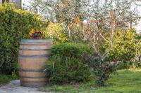 Vonkajšia záhrada v ubytovaní Wine Garden Holiday Home