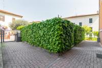 Vonkajšia záhrada v ubytovaní Prato della Valle Roomy Flat