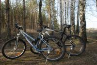 Jazda na bicykli v okolí ubytovania Wakacyjny Dom w Sakach