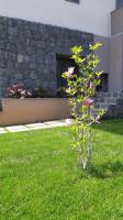 A garden outside Anna & Alfredo bed and breakfast