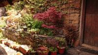 A garden outside Casa O´Crego
