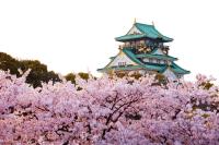 ホテルの近くにある観光名所