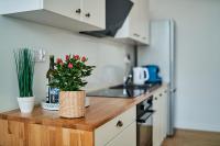 Kuchyňa alebo kuchynka v ubytovaní Apartamenty Muzyczna 14