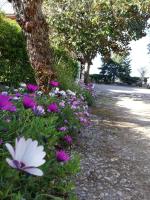 A garden outside Casa Noemi