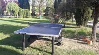 Stolný tenis v ubytovaní Agriturismo San Pierino alebo v jeho okolí