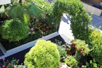 A garden outside Residence Nobel