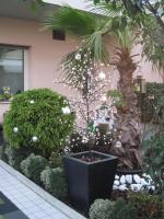 A garden outside Residence Nobel
