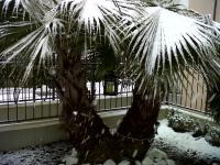 Residence Nobel during the winter