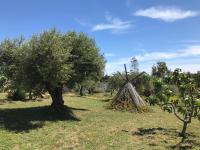 Zahrada ubytování Villa Sa Curcurica