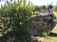 Zahrada ubytování Villa Sa Curcurica