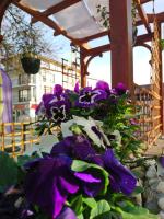 A garden outside Guest House Simon Green