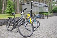 Rowery dostępne w obiekcie Hotel Orle lub w pobliżu