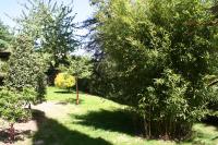 Vonkajšia záhrada v ubytovaní La casa di Rachele