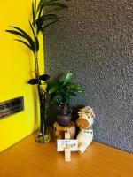a stuffed animal sitting on a table next to a plant at Great Nature Villa in Jiji